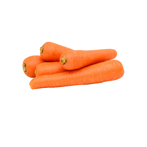 Carrot