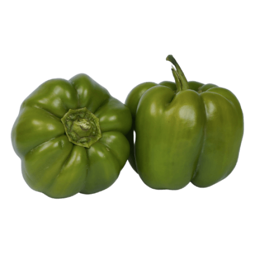 Capsicum