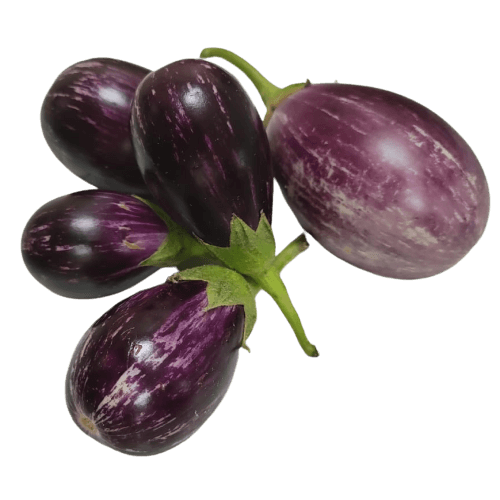 Brinjal