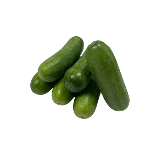 Cucumber